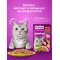 Корм для кошек «Whiskas» индейка, печень, овощи, желе, 75 г