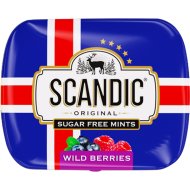 Конфеты «Scandic» без сахара, лесные ягоды, 14 г