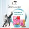 Корм для котят «Purina One» со вкусом курицы, 75 г