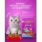 Корм сухой «Whiskas» для стерилизованных кошек, с говядиной, 1.3 кг