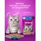 Корм для кошек «Whiskas» Желе с лососем, 28х75 г