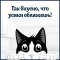 Корм «FELIX» (курица/томат, желе) 75г