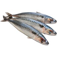 Скумбрия атлантическая, замороженная, 1 кг