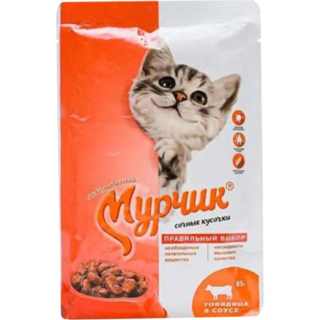 Корм для кошек «Мурчик» с говядиной в соусе, 35х75 г