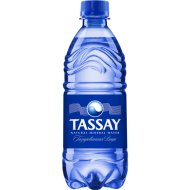 Вода питьевая «Tassay» минеральная, газированная, 0.5 л