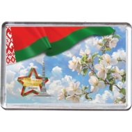 Магнит сувенирный, акриловый, М026, 70х45 мм