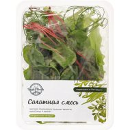 Смесь салатная «Yash» family, 80 г