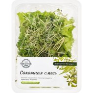 Смесь салатная «Yash» active, 80 г
