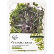 Смесь салатная «Yash» cool, 80 г